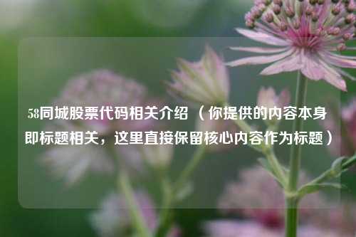 58同城股票代码相关介绍 （你提供的内容本身即标题相关，这里直接保留核心内容作为标题）