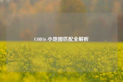 COD16 小地图匹配全解析