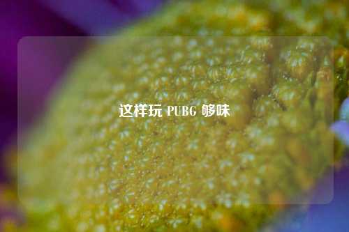 这样玩 PUBG 够味