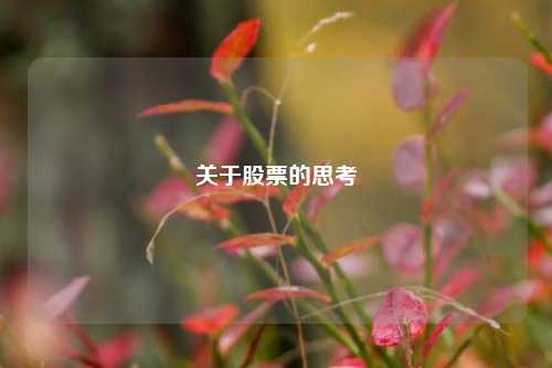 关于股票的思考