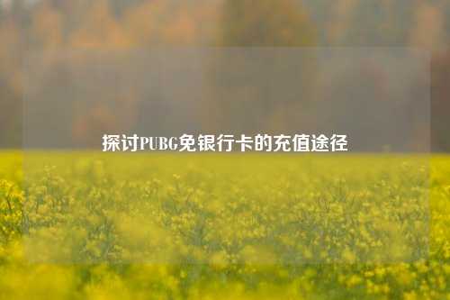 探讨PUBG免银行卡的充值途径
