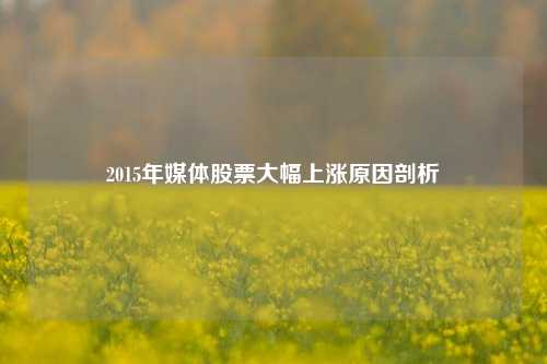 2015年媒体股票大幅上涨原因剖析