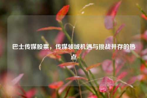 巴士传媒股票，传媒领域机遇与挑战并存的热点