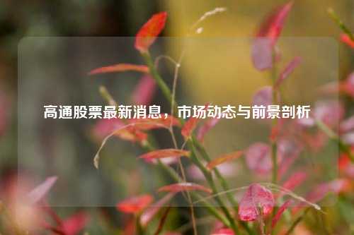 高通股票最新消息，市场动态与前景剖析
