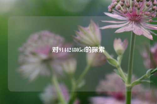 对914424805cf的探索