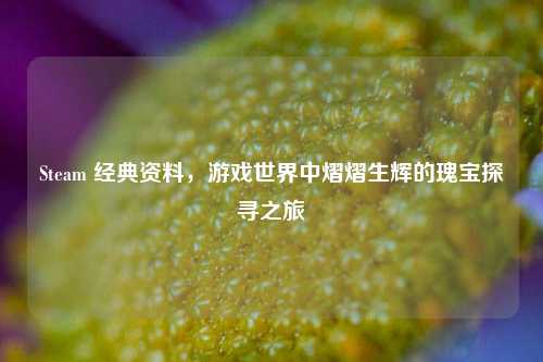 Steam 经典资料,游戏世界中熠熠生辉的瑰宝探寻之旅