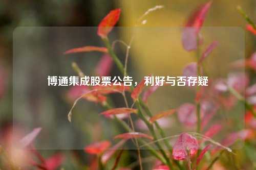 博通集成股票公告,利好与否存疑