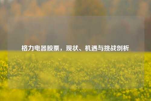 格力电器股票，现状、机遇与挑战剖析