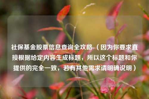 社保基金股票信息查询全攻略 (因为你要求直接根据给定内容生成标题,所以这个标题和你提供的完全一致,若有其他需求请明确说明)