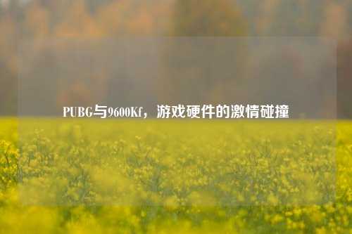PUBG与9600Kf，游戏硬件的激情碰撞