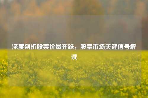 深度剖析股票价量齐跌，股票市场关键信号解读