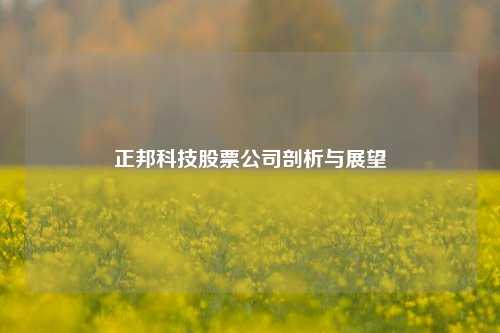 正邦科技股票公司剖析与展望