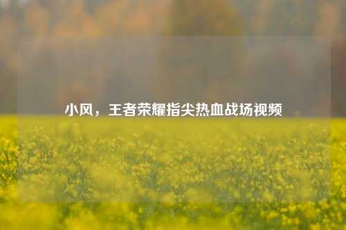 小风,王者荣耀指尖热血战场视频