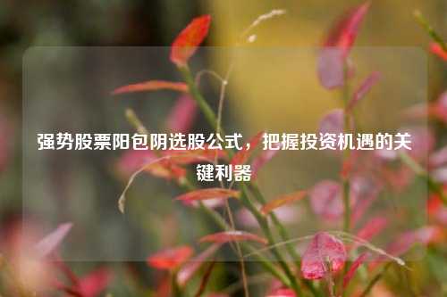 强势股票阳包阴选股公式，把握投资机遇的关键利器