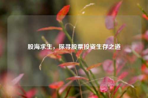 股海求生，探寻股票投资生存之道