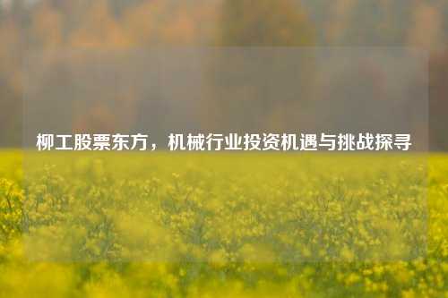柳工股票东方，机械行业投资机遇与挑战探寻