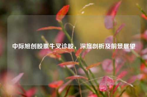 中际旭创股票牛叉诊股，深度剖析及前景展望