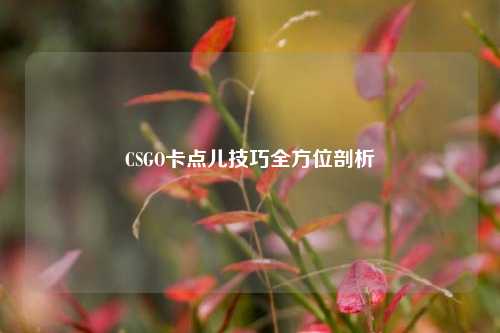 CSGO卡点儿技巧全方位剖析