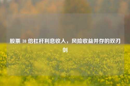 股票 10 倍杠杆利息收入，风险收益并存的双刃剑