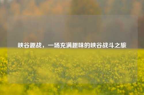 峡谷趣战,一场充满趣味的峡谷战斗之旅
