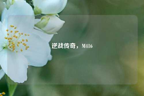 逆战传奇，M416