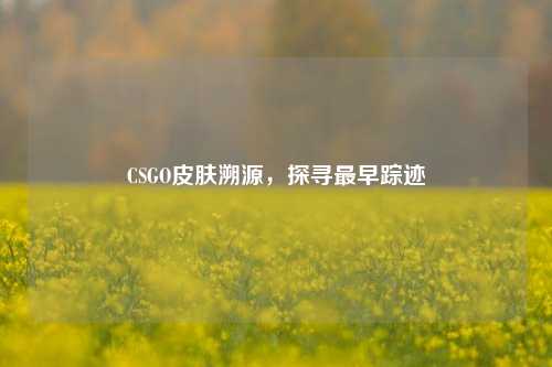 CSGO皮肤溯源，探寻最早踪迹