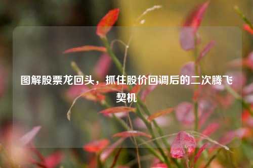 图解股票龙回头，抓住股价回调后的二次腾飞契机