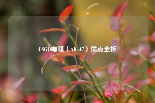 CSGO咖喱(AK-47)优点全析