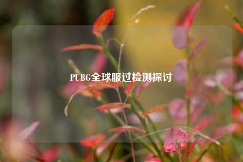 PUBG全球服过检测探讨