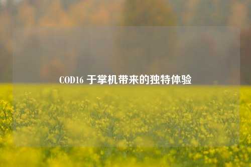 COD16 于掌机带来的独特体验