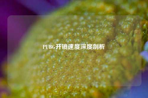 PUBG开镜速度深度剖析