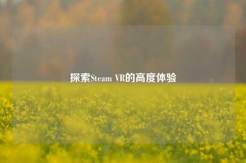 探索Steam VR的高度体验