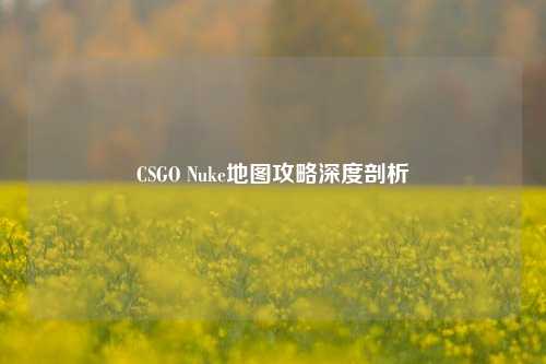 CSGO Nuke地图攻略深度剖析