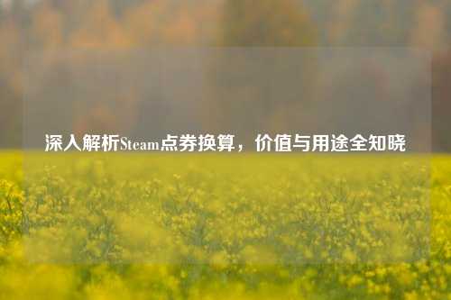 深入解析Steam点券换算，价值与用途全知晓