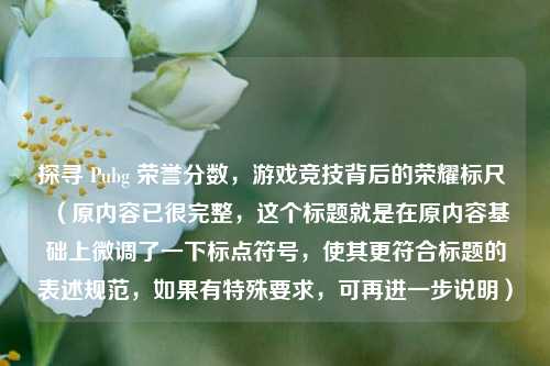 探寻 Pubg 荣誉分数,游戏竞技背后的荣耀标尺 (原内容已很完整,这个标题就是在原内容基础上微调了一下标点符号,使其更符合标题的表述规范,如果有特殊要求,可再进一步说明)