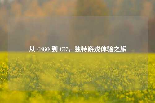 从 CSGO 到 C77，独特游戏体验之旅