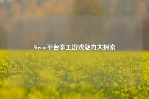 Steam平台拳王游戏魅力大探索