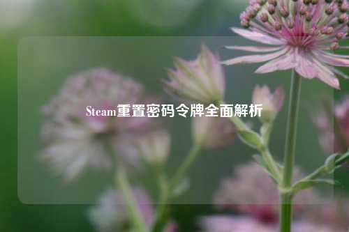 Steam重置密码令牌全面解析