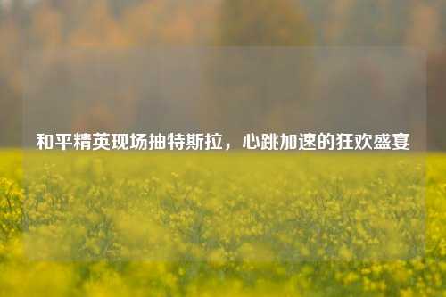 和平精英现场抽特斯拉,心跳加速的狂欢盛宴