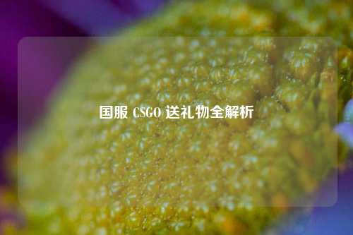 国服 CSGO 送礼物全解析