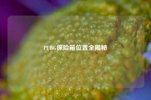 PUBG保险箱位置全揭秘