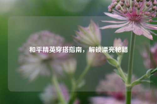 和平精英穿搭指南，解锁漂亮秘籍