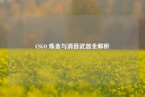 CSGO 炼金与消音武器全解析