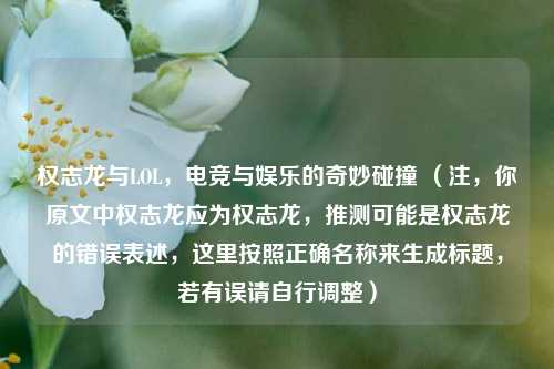 权志龙与LOL，电竞与娱乐的奇妙碰撞 （注，你原文中权志龙应为权志龙，推测可能是权志龙的错误表述，这里按照正确名称来生成标题，若有误请自行调整）