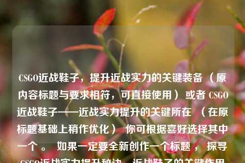 CSGO近战鞋子,提升近战实力的关键装备 (原内容标题与要求相符,可直接使用) 或者 CSGO近战鞋子——近战实力提升的关键所在 (在原标题基础上稍作优化) 你可根据喜好选择其中一个 。 如果一定要全新创作一个标题 , 探寻CSGO近战实力提升秘诀,近战鞋子的关键作用