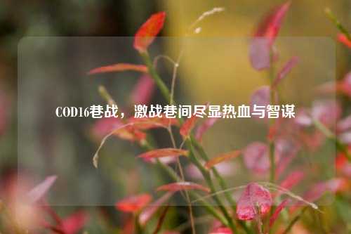 COD16巷战，激战巷间尽显热血与智谋