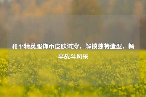 和平精英服饰币皮肤试穿,解锁独特造型,畅享战斗风采