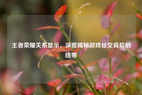 王者荣耀关系显示，深度揭秘游戏社交背后的纽带