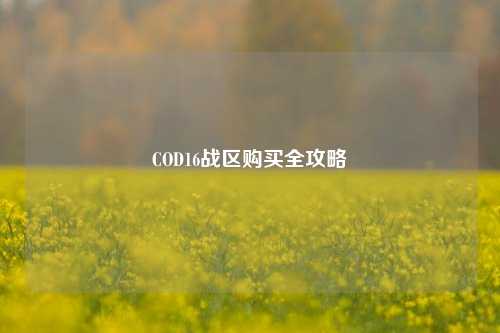 COD16战区购买全攻略