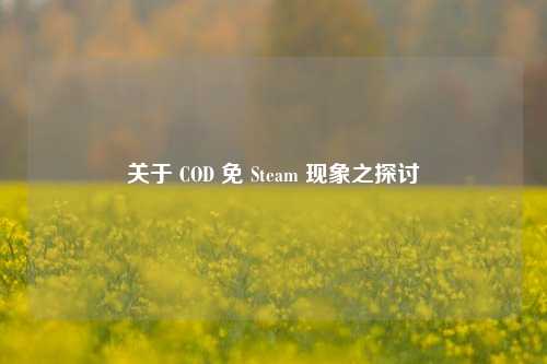 关于 COD 免 Steam 现象之探讨